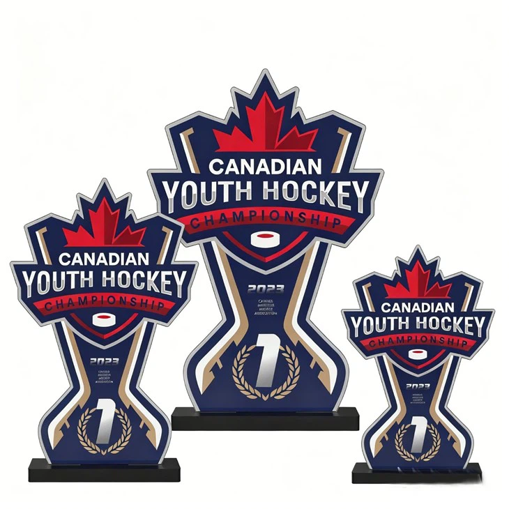 Single Layer Acrylic Hockey Trophies best