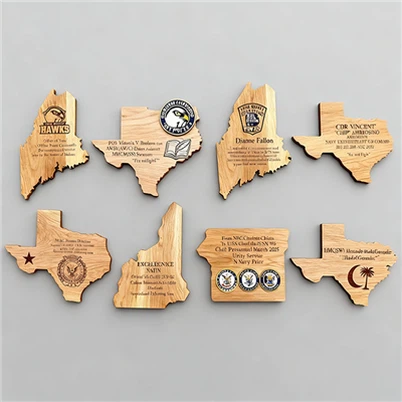 སོལཌི་ཤིང་གི་ས་ཏོག།